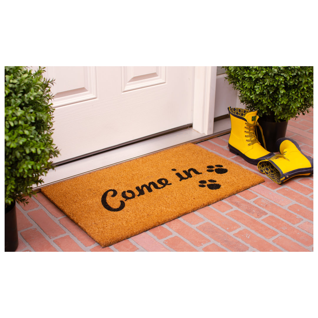 Come In Doormat 17"x29"