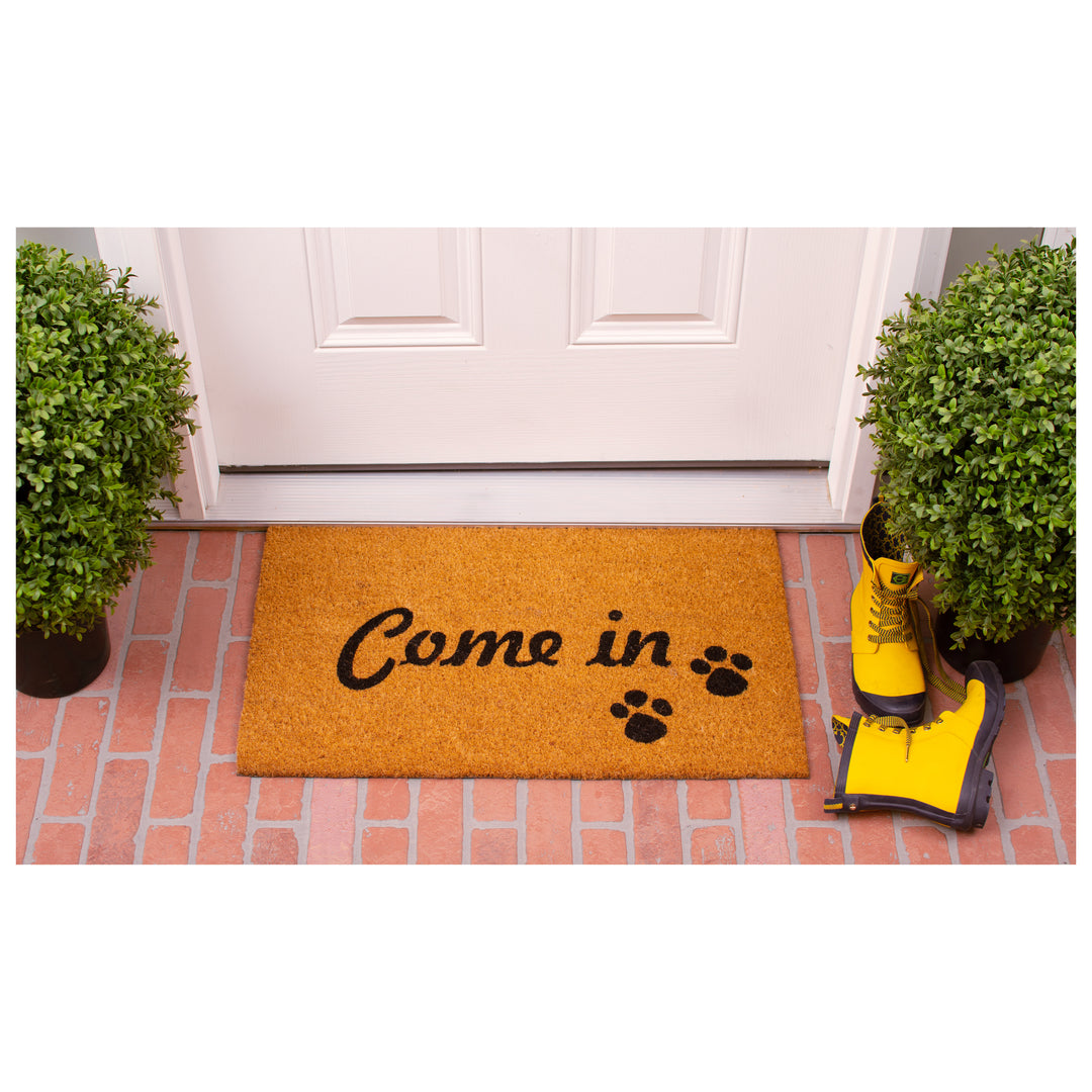 Come In Doormat 17"x29"