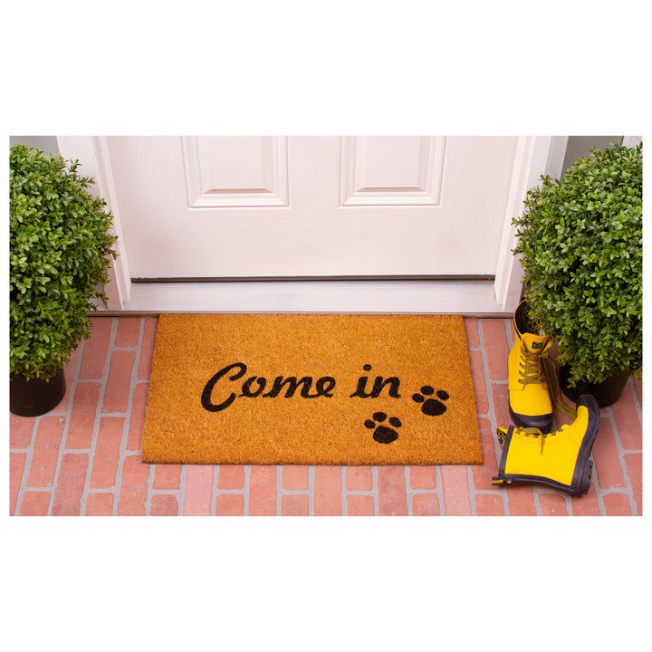 Come In Doormat 17"x29"