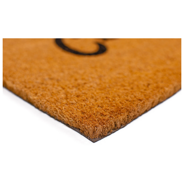 Come In Doormat 17"x29"