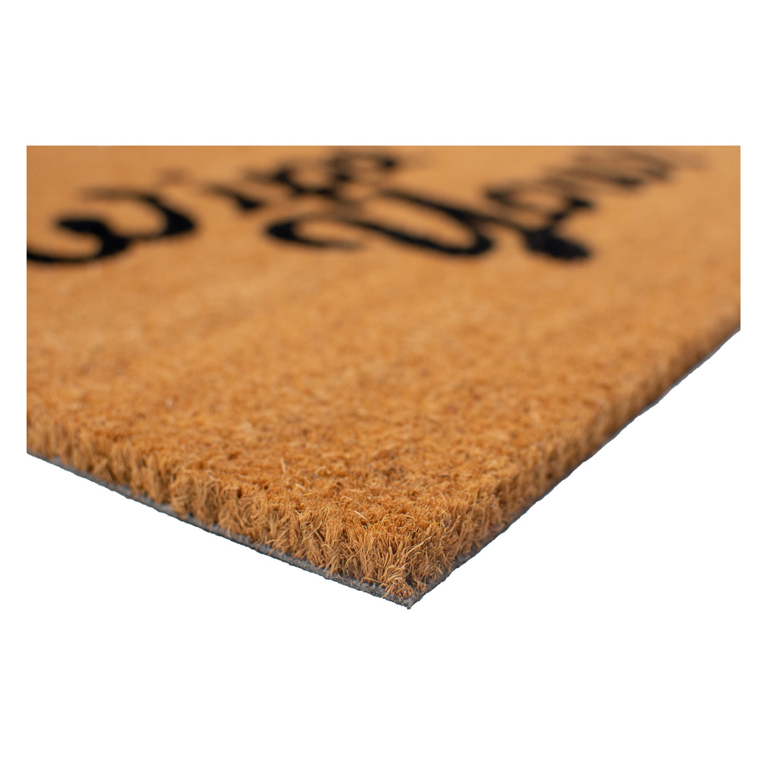 Wipe Your Paws Doormat 17"x29"