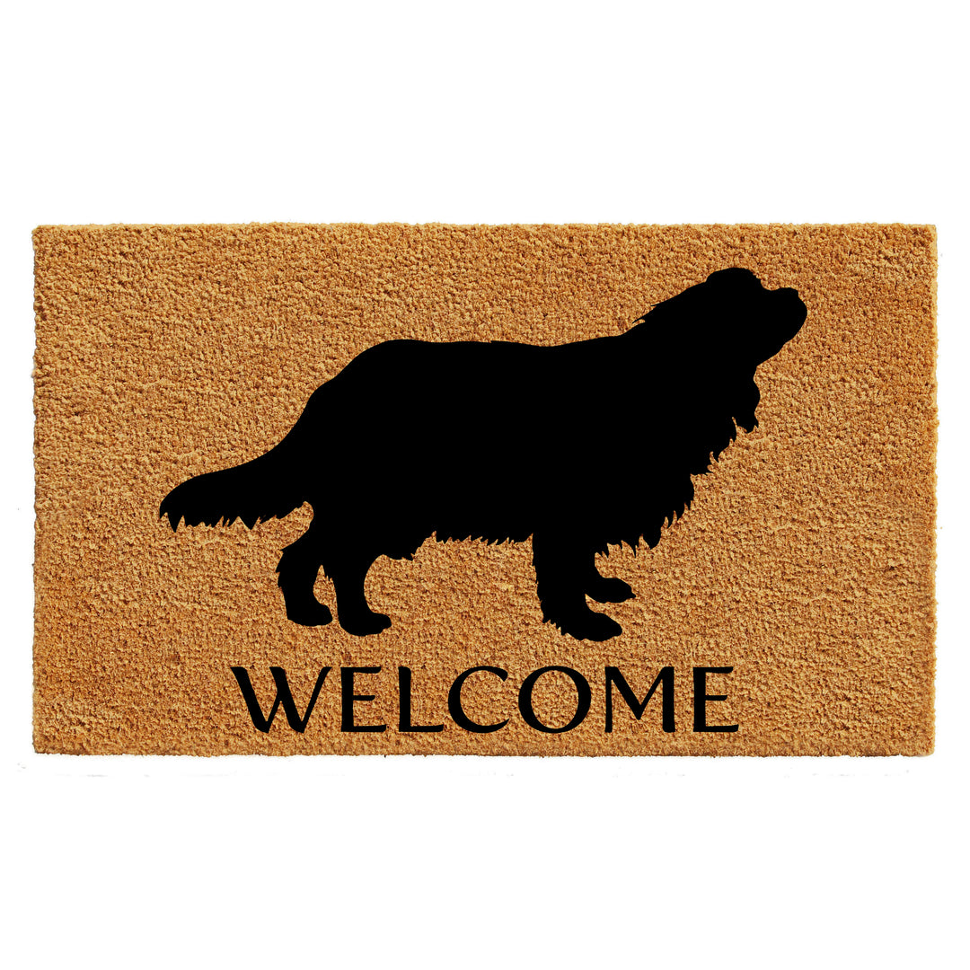 Cavalier King Charles Spaniel Doormat 24"x36" / Cavalier King Charles Spaniel