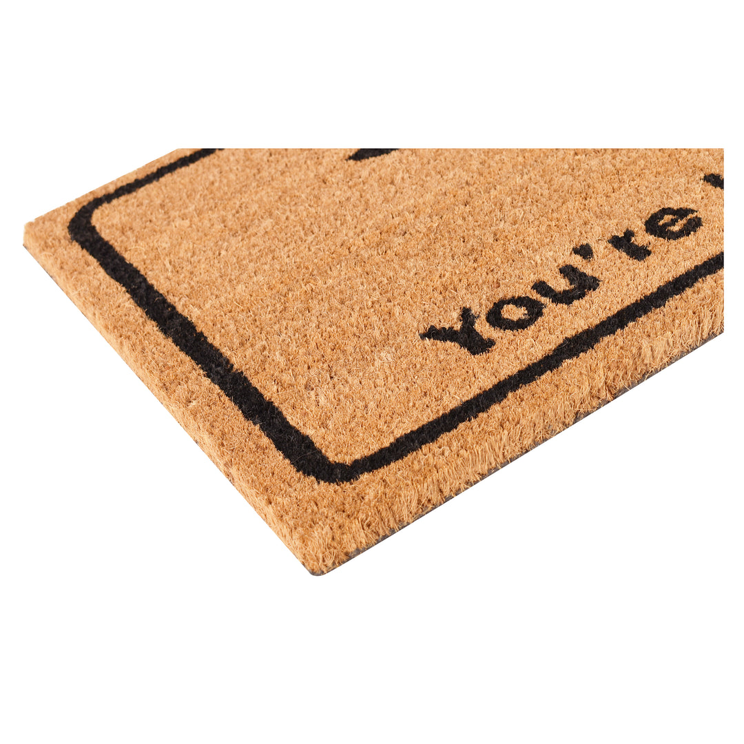 Looking Good Doormat 17"x29"