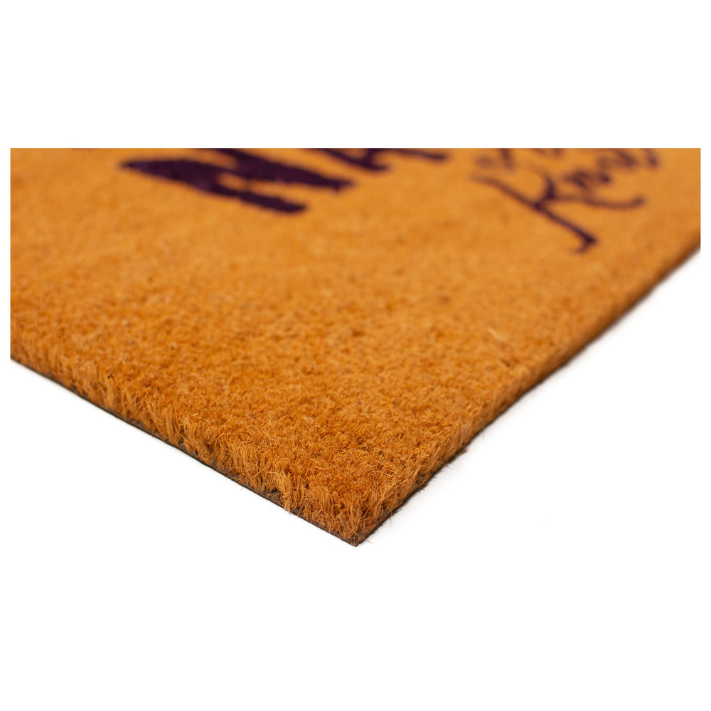 Nauti or Knot Doormat 17"x29"