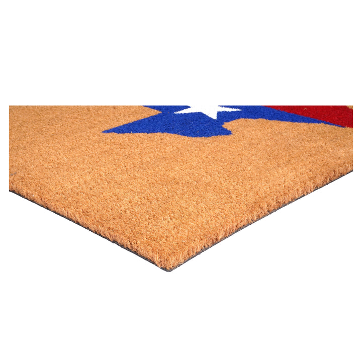 Texas Flag Doormat 24"x36" / Texas