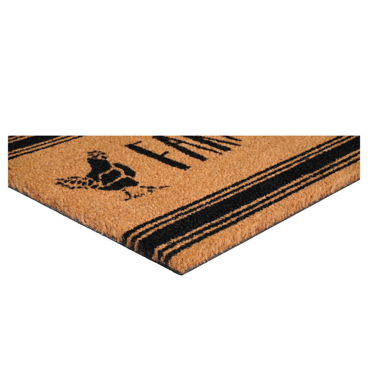 Farmhouse Doormat 17"x29"