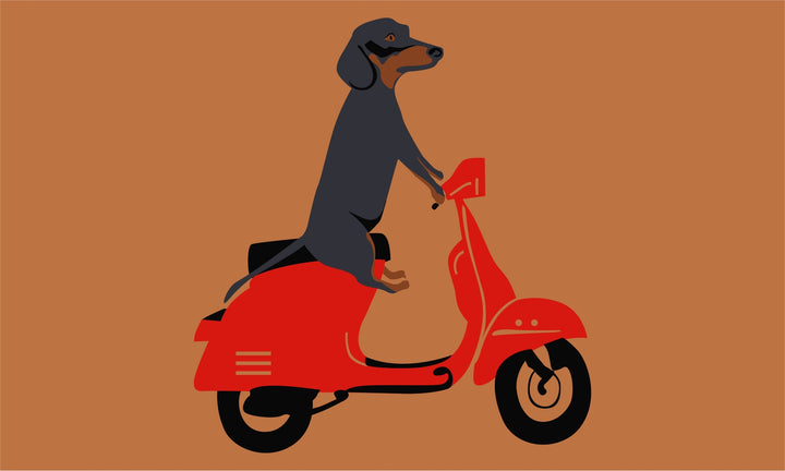 Cruising Dog Doormat