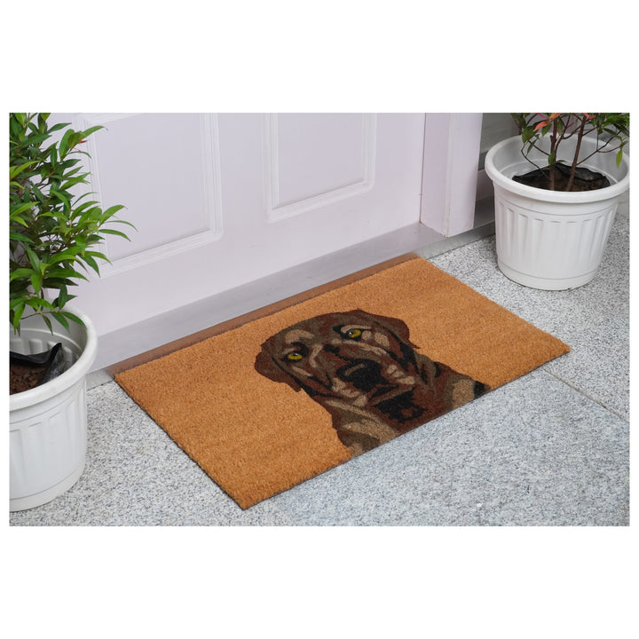 Brown Labrador Doormat 17"x29" / Brown Labrador