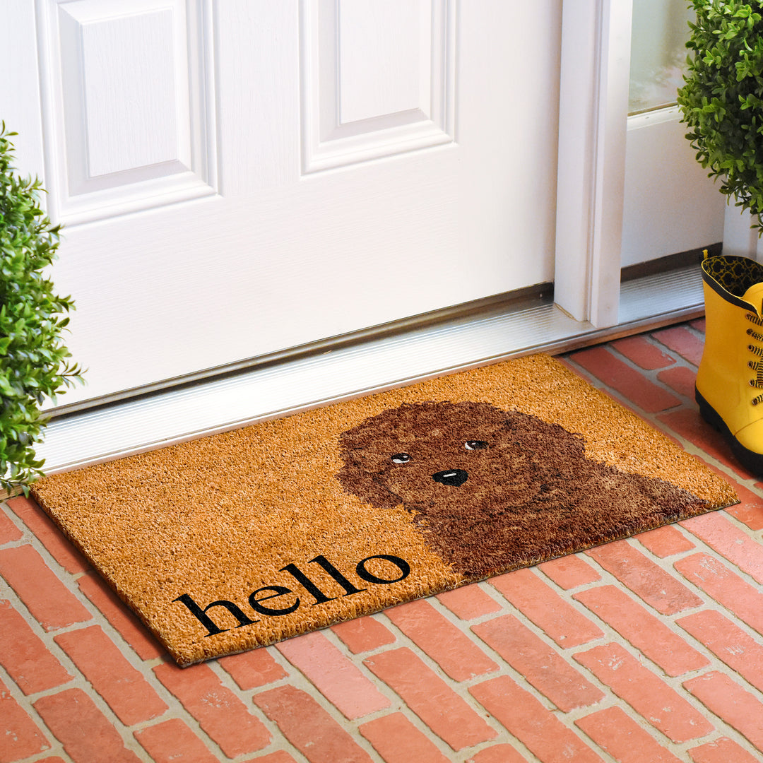Brown Toy Poddle  Doormat 17"x29" / Brown Toy Poddle