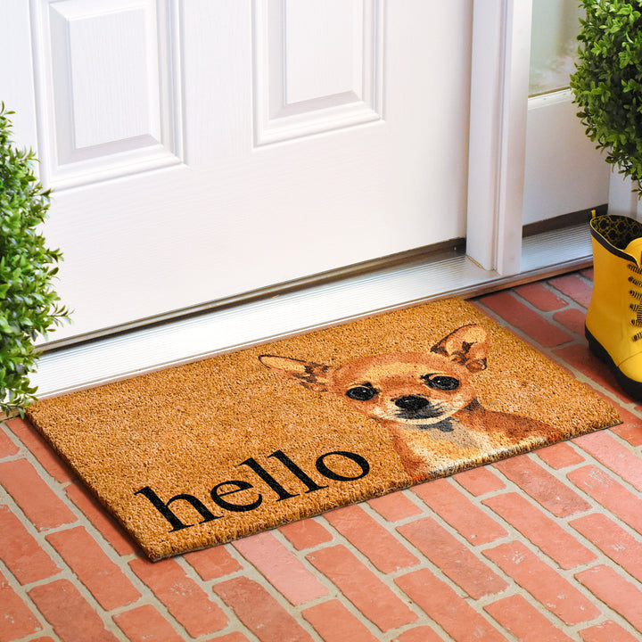 Brown Chihuahua Doormat 17"x29" / Brown Chihuahua