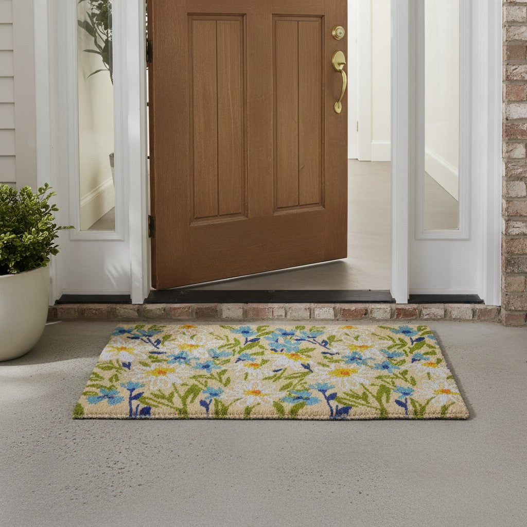 Fields of Daisy Doormat