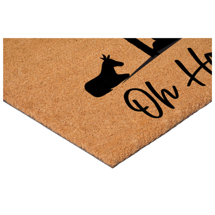 Holy Night Nativity Doormat