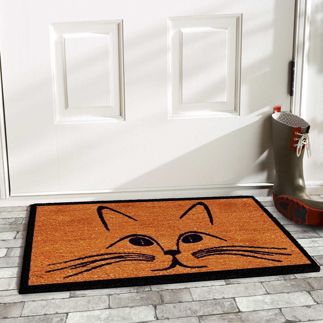 Purrfection Doormat 17"x29"
