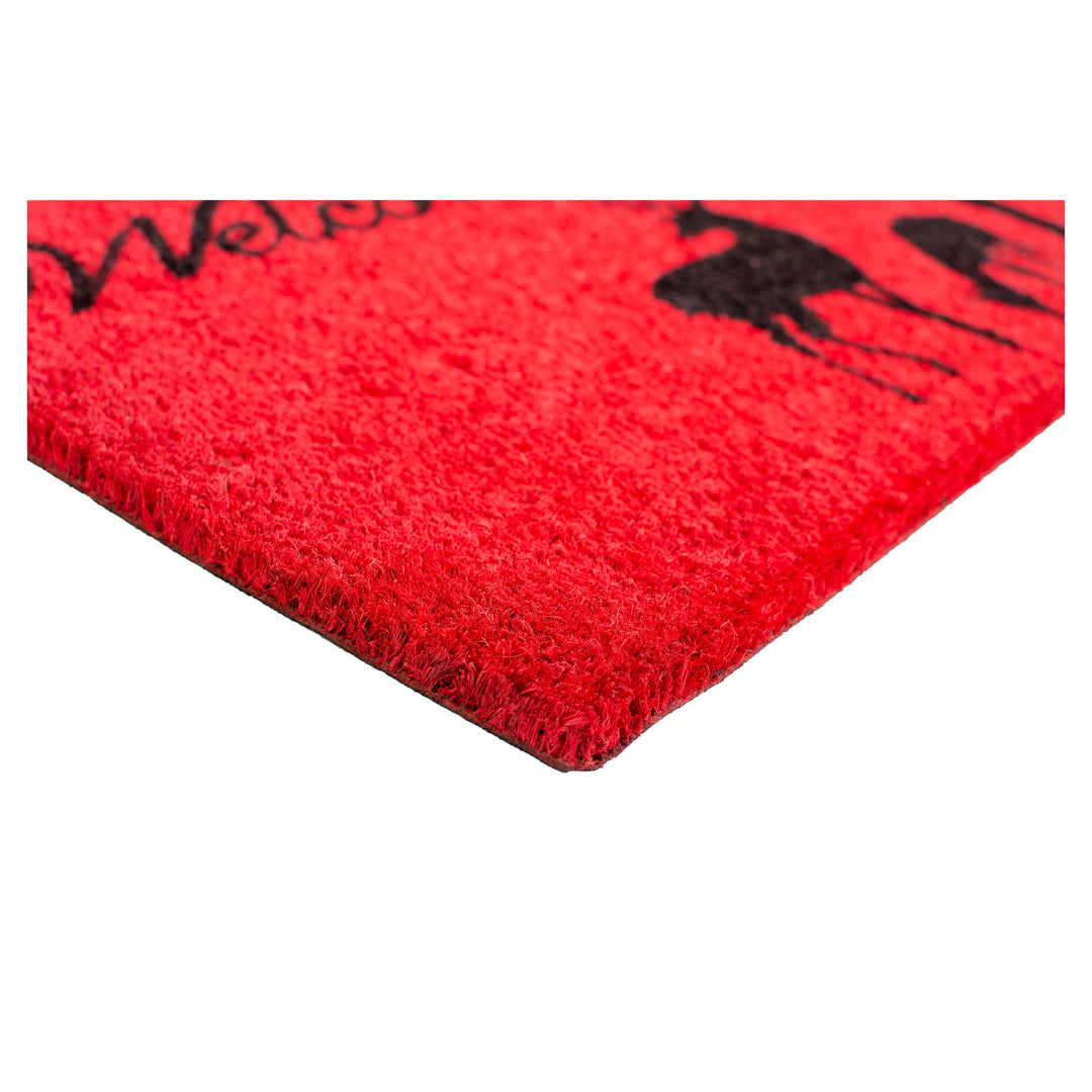 Winter Welcome Doormat 17"x29"