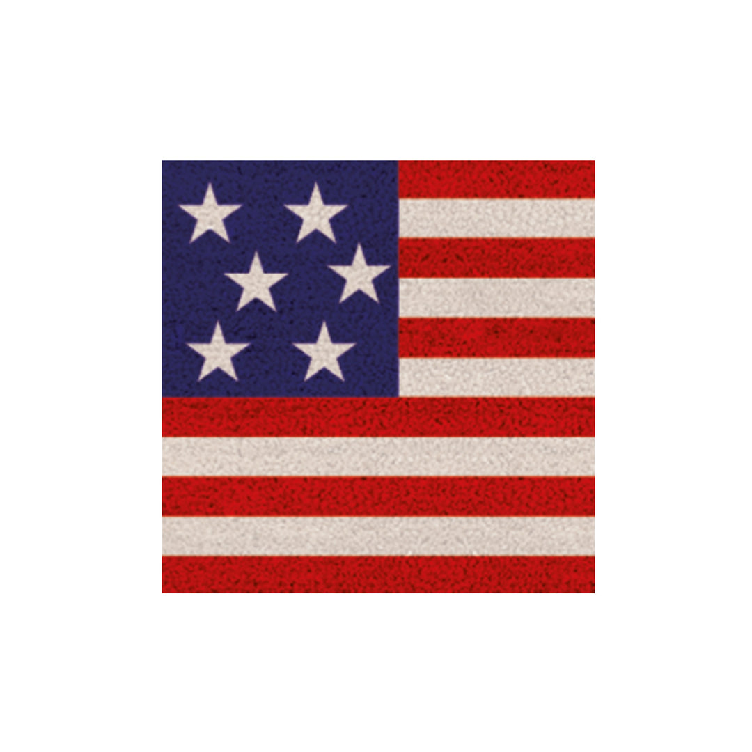 Rubber Doormat w/ Interchangeable Inserts 17"x41"